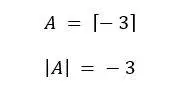 Calcular determinante de una matriz cuadrada 1x1