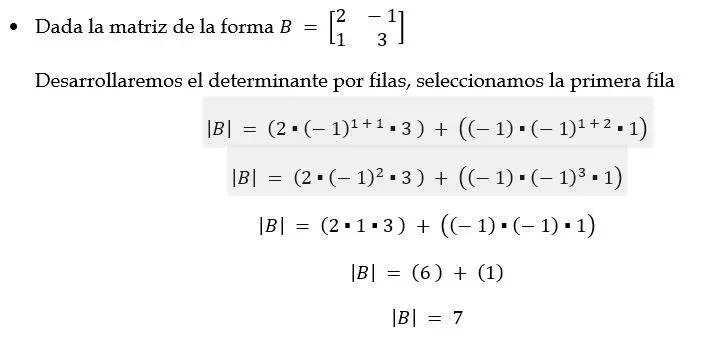 Calcular determinante de una matriz cuadrada 2x2 ejemplo 1