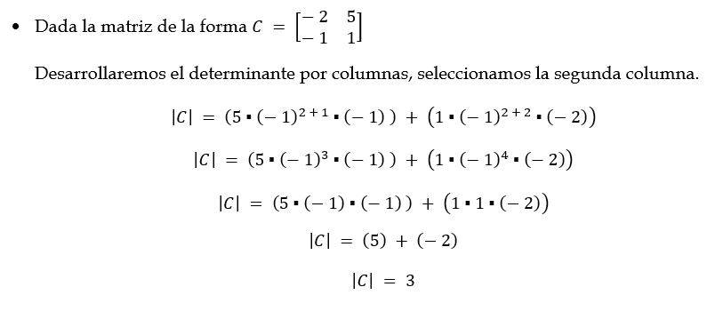 Calcular determinante de una matriz cuadrada 2x2 ejemplo 2
