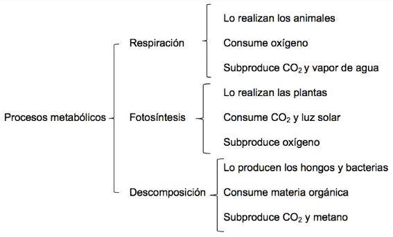 Ejemplo de cuadro sinóptico de llaves