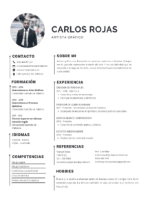 CV artista plastico